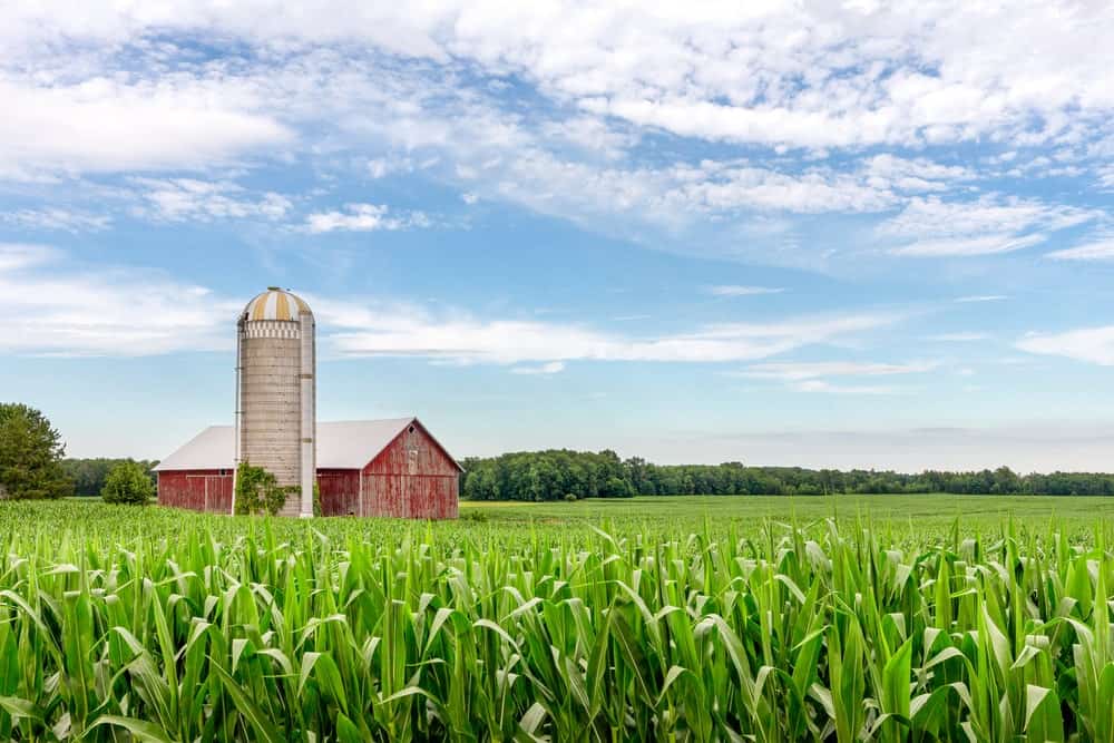 Wisconsin