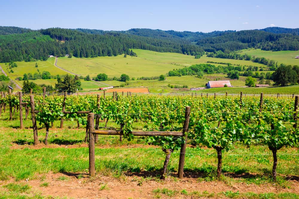 Oregon