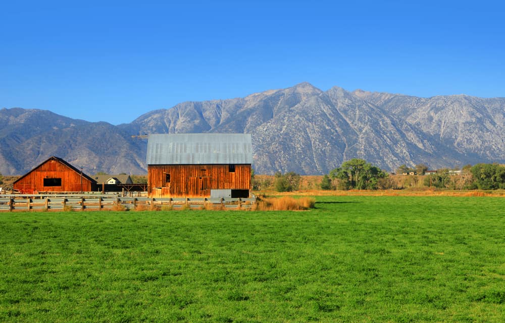 Nevada