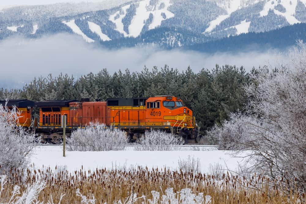 Montana